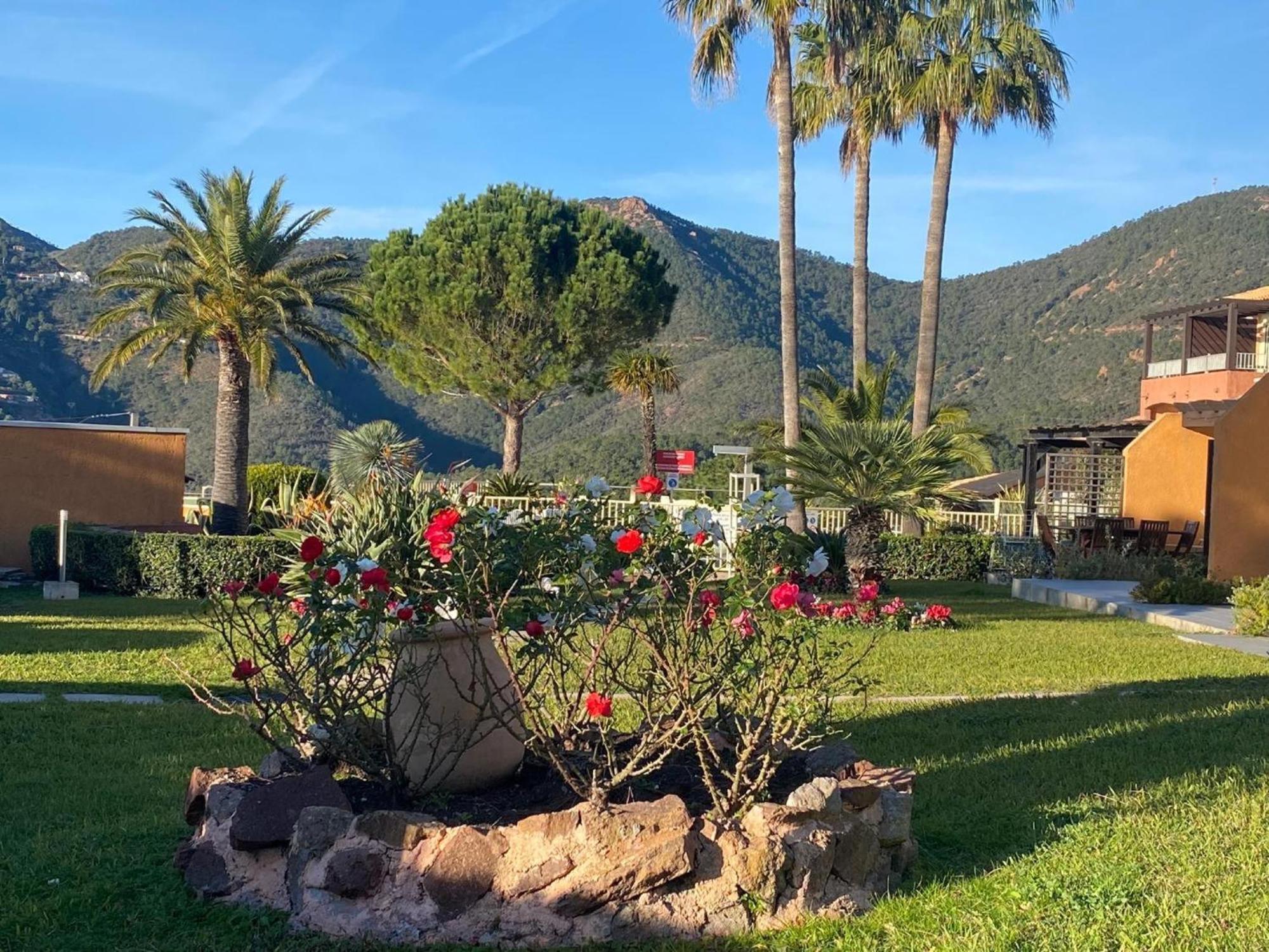 Vue Mer Et Jardin تيول سور مير المظهر الخارجي الصورة